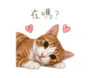 841666570
