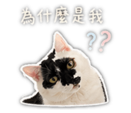 841666834