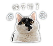 841666845