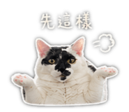 841666846