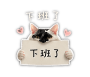 841666861
