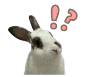 841666983