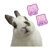 841666995