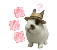 841667000