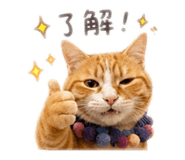 841667035