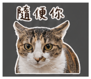841667277