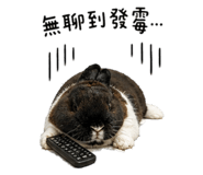 841667795
