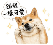 841667856