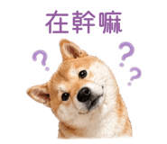 841667857