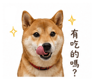 841668117