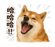 841668322