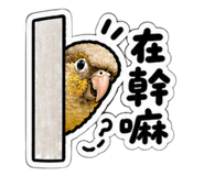 841669189