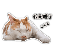 841669812