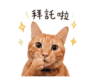 841669984