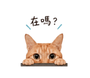 841669988