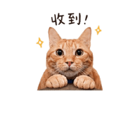 841669993