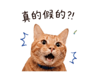 841669996