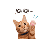841669998