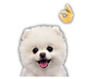 841670171