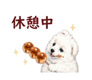841670335