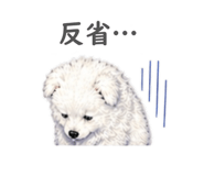 841670337