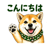 841671987