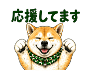 841672003