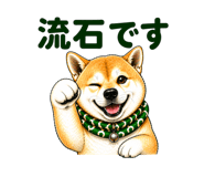 841672006