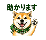 841672007