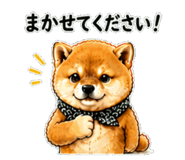 841672944