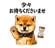 841672948
