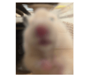 841674999