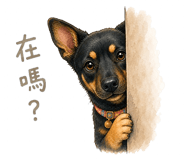841676657