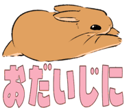 841676795