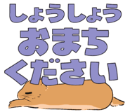 841676803