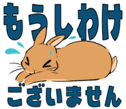 841676807