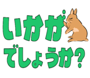 841676824