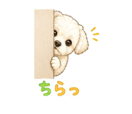 841677223