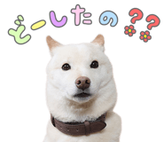 841678238