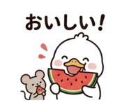841678795