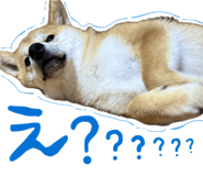 841678972