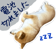 841678974