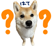 841678978