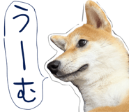 841678983