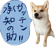 841678987