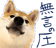 841678988