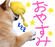 841678990