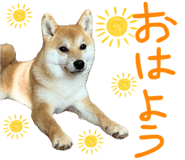 841678991