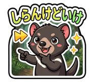 841679243