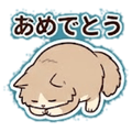 841679375